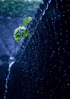 闹巷🌴采集到下雨