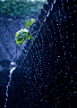 屋檐·雨
#雨# #下雨#