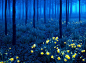 英国，北格林威治的蓝色森林。这到底是画儿还是真实的美景？