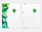 抽象的当代信笺模板样机中几何低聚风格与三角青蛙 logo 设计元素为商业视觉标识的绿色色调设置