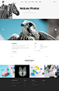 高质量网站全套 PSD 模板 Pisces-Multi Concept PSD Template - 6aadec944a279db5f5a3704d0ffdbd39.jpg