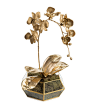 Golden Hexagon - Botanicals - Accessories & Botanicals - Our Products