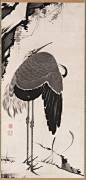 Cranes (one of a pair,) Itō Jakuchū, (1716–1800) ink on paper
Freer Gallery of Art