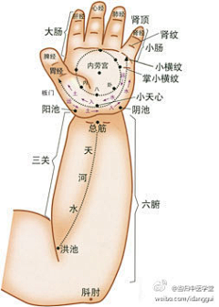 xiaobingyang采集到健康