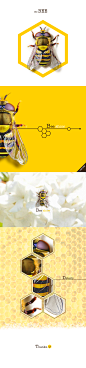 写实蜜蜂UI设计
