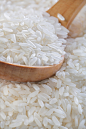 【美图分享】lixinisme的作品《Organic rice》 #500px# @500px社区