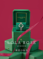 Lola Rose旗舰店