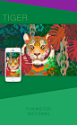 Wild Animal Wallpapers : I design those wild animals illustrations for mobile and tablet wallpapers :)