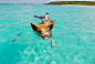 White and Gray Bird on the Bag of Brown and Black Pig Swimming on the Beach during Daytime · Free Stock Photo