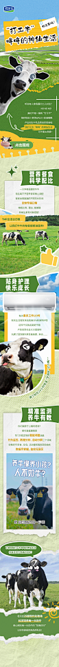 君乐宝现代牧场牛奶微信公众号长图设计