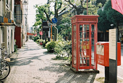 小小小白菜采集到【旅行】最美的风景在路上