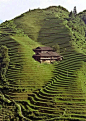 Longji Terrace, China