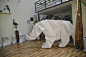 #筑梦匠心#当听闻世界上只剩最后一头白犀牛苏丹的报道时，刘通便萌生了通过折纸呼吁动物保护的想法，他采用1：1的折纸创作方式，寻找8×8㎡的特殊纸张，花了将近一年的时间完成了这件作品。