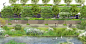 河道路侧绿带道路绿化景观设计效果图