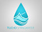 Logo Concept - Tilicho Springwater : Sample logo design for a mineral water company.