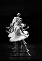 (c) Michael J. Seamans. Boston Ballet performs Swan Lake during a dress rehearsal at the Wang Center.