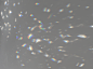 玻璃水晶折射棱镜反射彩虹光效-13