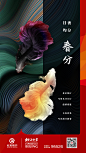 北京银行 春分节气海报