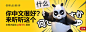 卡通 熊猫 排版 banner

