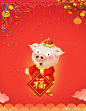 一套猪年卡通动漫形象猪海报设计素材模板源文件可编辑，中国新年春节晚会网页手机拜年红包。#ui设计##平面设计##海报设计#