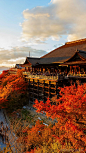日本文化#寺庙建筑