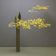 Ikebana of Soho Sens...