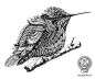 Hummingbird (work in progress) by BioWorkZ