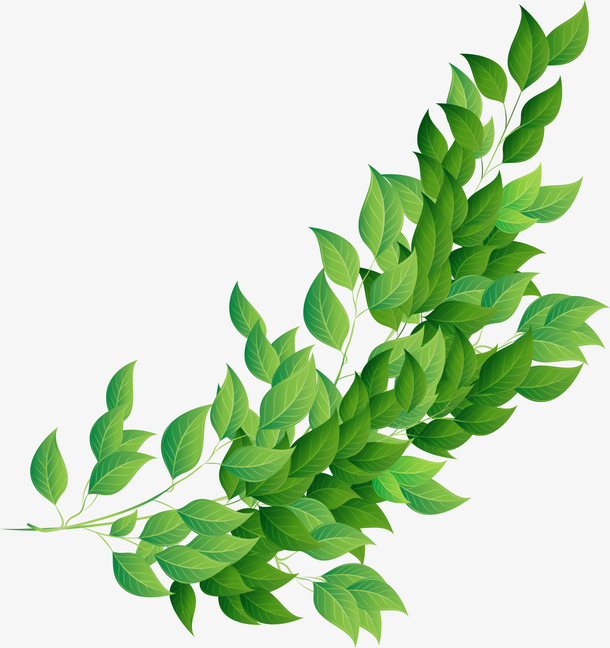 b916651ae76353cfe51a112d983dbff4976fc6fc48e0d-qTD7nc