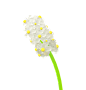 C4D花朵植物元素 (27)