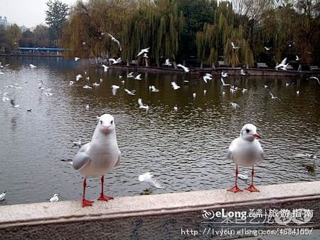 多图:昆明湖*石林, 她曾说的坚持旅游攻...