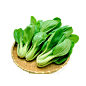 蔬菜青菜45