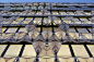巴黎折纸大厦（Origami） - ABBS 论坛