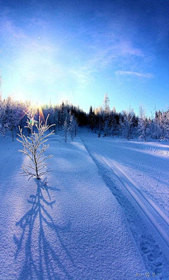 如沐春风20122012采集到雪景