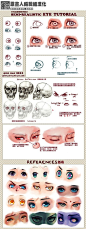 #汉化教程# 【眼睛】【结构】这篇教程的重点是将眼球画立体而不是单纯的平面、像贴在眉毛下面一样~（via：Qinni）