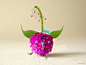 这组唯美花朵创意手绘插画图片来自作者rabim，他用真实的花朵作为DIY的对象，给它画上四肢和五官，让一朵花瞬间有了“人气”，是不是很有想法呢？希望你会喜欢这组花朵手绘插画图片。