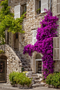 Colorful flowers and staircase lead to home in St. Paul de-Vence, France. © Brian Jannsen Photography: 