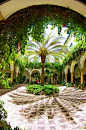 Courtyard at Palacio de Viana, Córdoba, Spain | Amazing Pictures