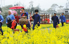 泼墨桃花采集到用完删