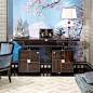 Credenzas & Sideboards - GEOMETRIC MACASSAR EBONY CREDENZA ART 542C