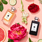 Jo Malone London (@jomalonelondon)的Instagram主页 · Tofo.me · 中文Instagram网页版