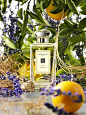 Jo Malone™ 154 Cologne