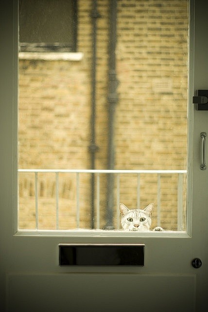 Hello? Open the door...