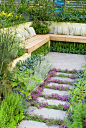Thyme herbs in flower Thymus, in crevices and nooks and crannies of path stepping stones walkway with herbs and lettuce vegetables: rosemary Rosmarinus, Salvia officinalis, Lavandula lavender, dill, kale, patio, Garden benches with pillow cushions