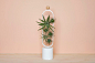 OASIS Indoor Office Planters with Moveable Magnetic Pots - Design Milk : Michelle Kartokusumo designed the OASIS indoor series of moveable magnetic pot planters that encourage employees to add some greenery to their spaces.