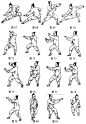 All for Kung Fu, Tai Chi & Martial Arts — Traditional Chinese Tai Chi Chuan Movements Fresco