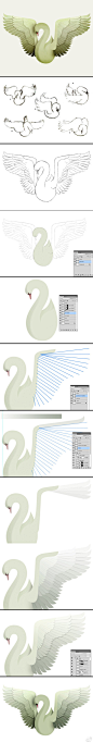 【Photoshop教程：创建一个美丽的天鹅插图】本教程将展示如何有效地使用纹理和材质来打造插图天鹅的微妙立体感。希望大家举一反三，这一招可以应用于任何个性化的插图项目中！→http://t.cn/zQOKAGr