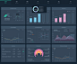 Financial Dashboard  dashboard |  ux |  ui |  data visualization |  charts |  graphs