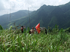 Cubo采集到重返十万大山母猪河（