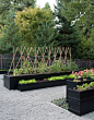 Finalist in Best Edible Garden Category of the 2014 Considered Design Awards, Gardenista: 