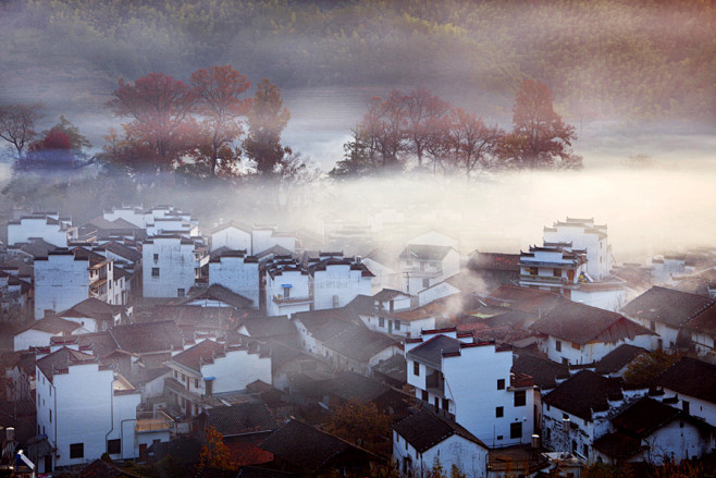 作品浏览—中国摄影报 作品名称：《雾里秋...